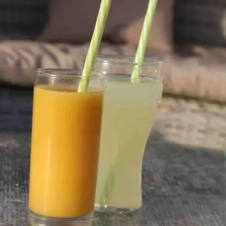 Villa Classée 4* Piscine/spa/sauna/salle De Sport Longeville-sur-Mer